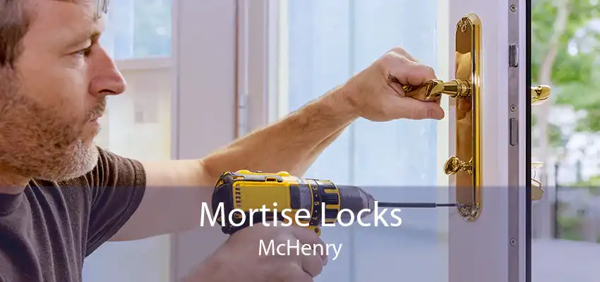 Mortise Locks McHenry